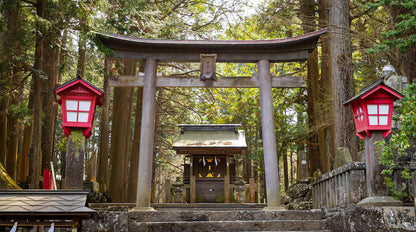 Mount Fuji day trip from Tokyo by private charter — TOUSHIN Japan private tour (photo 4)