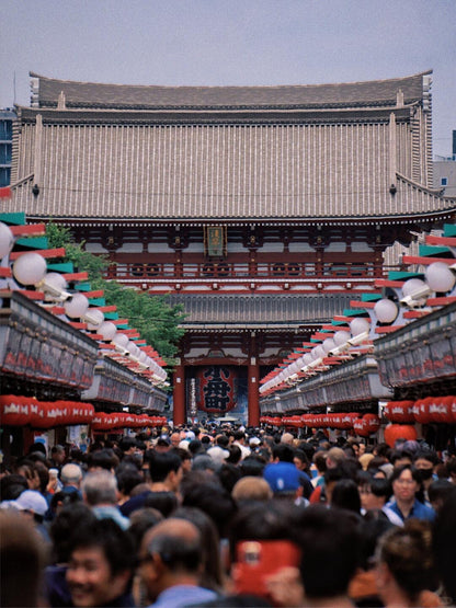 Tokyo 10-hour private charter tour — TOUSHIN Japan private tour (photo 3)