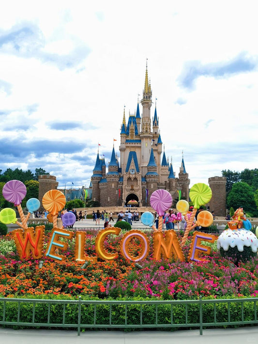 Tokyo to Disney Resort private transfer — TOUSHIN Japan private tour (photo 2)