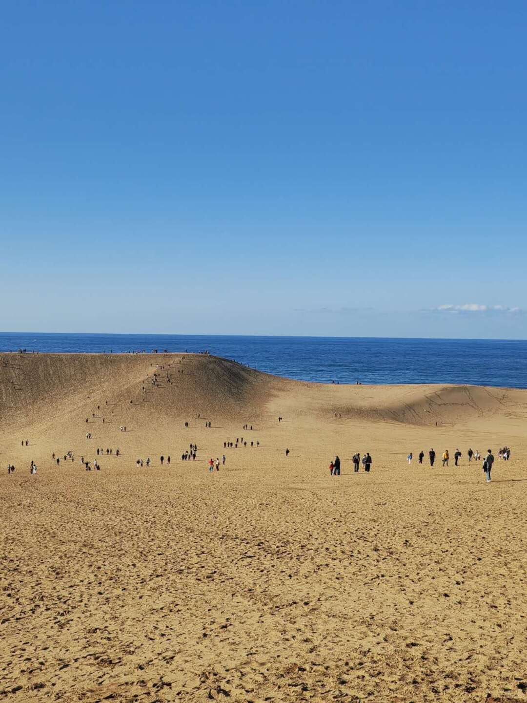 Tottori day trip from Osaka by private charter — TOUSHIN Japan private tour (photo 3)