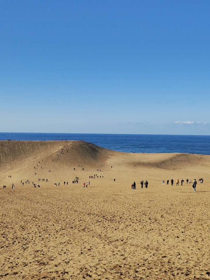 Tottori day trip from Osaka by private charter — TOUSHIN Japan private tour (photo 3)