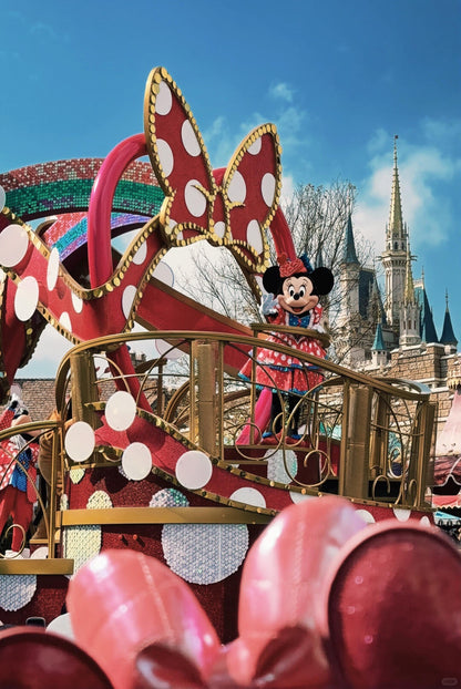 Tokyo to Disney Resort private transfer — TOUSHIN Japan private tour (photo 3)