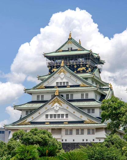 Osaka private day tour by chartered car (10-hour custom itinerary) — TOUSHIN Japan private tour (photo 2)
