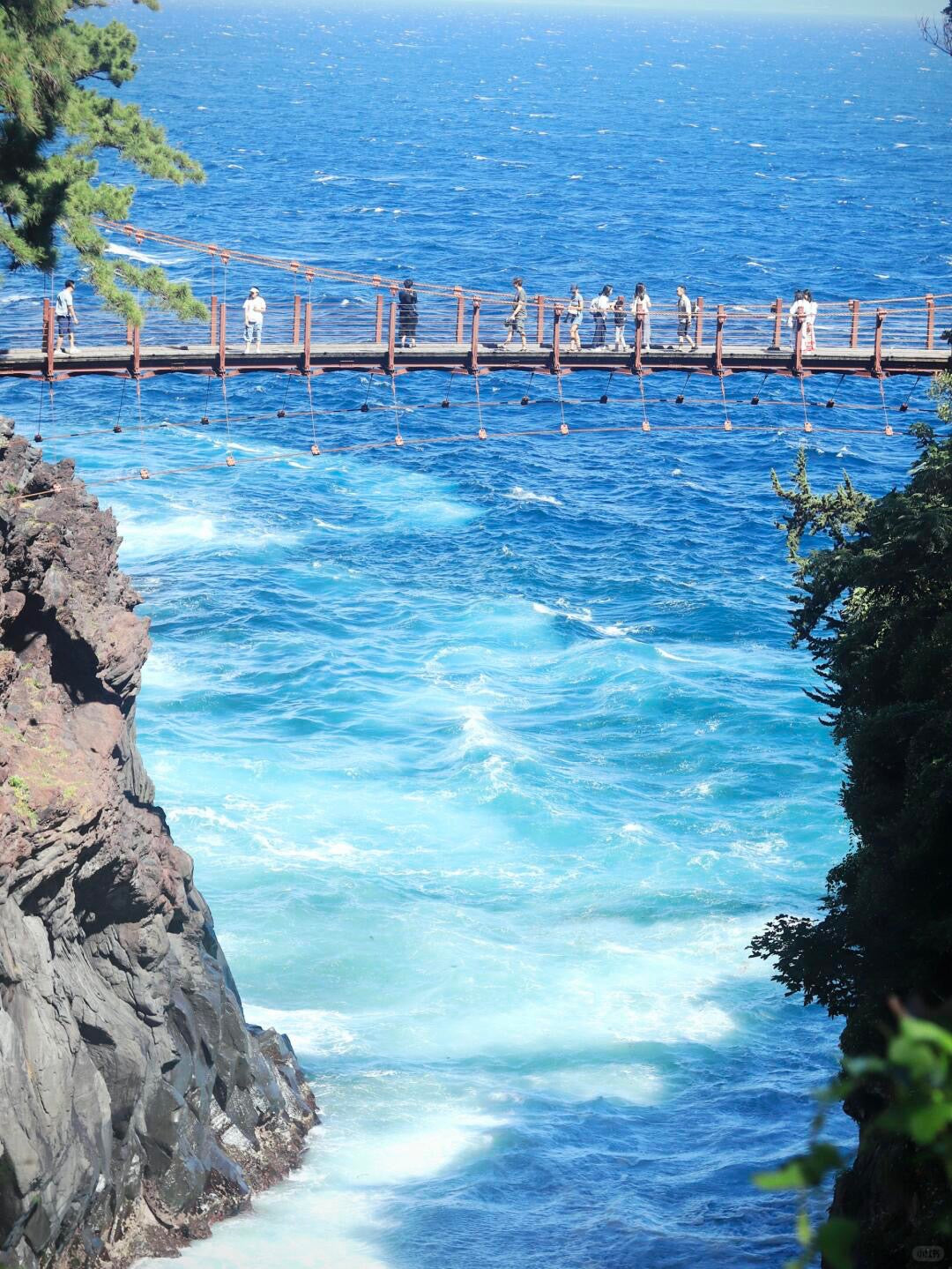 Izu Peninsula day trip from Tokyo by private charter — TOUSHIN Japan private tour (photo 5)