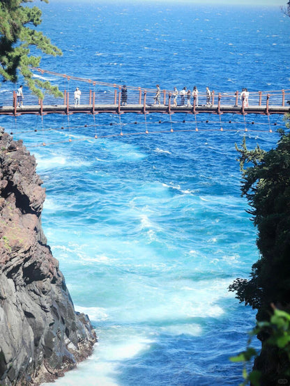 Izu Peninsula day trip from Tokyo by private charter — TOUSHIN Japan private tour (photo 5)