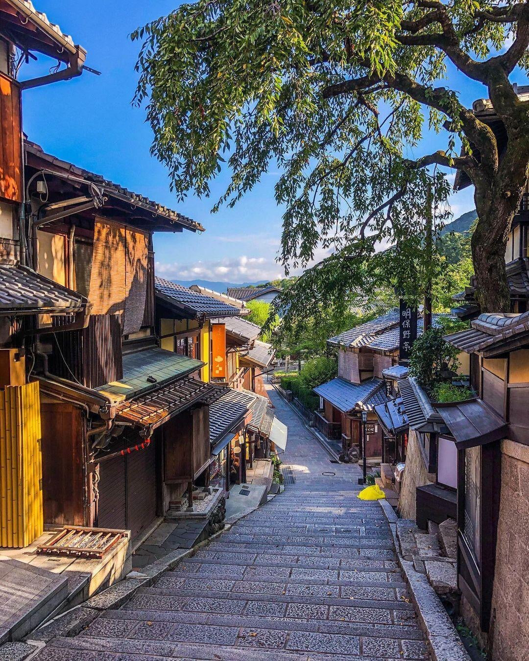 Kyoto day trip from Osaka by private charter — TOUSHIN Japan private tour (photo 6)