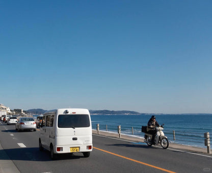 Kamakura and Enoshima day trip from Tokyo by private charter — TOUSHIN Japan private tour (photo 6)