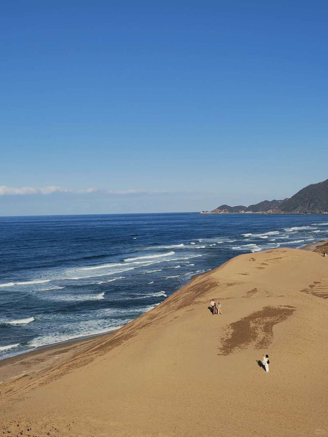 Tottori day trip from Osaka by private charter — TOUSHIN Japan private tour (photo 4)