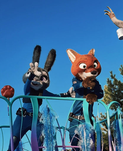 Tokyo to Disney Resort private transfer — TOUSHIN Japan private tour (photo 4)