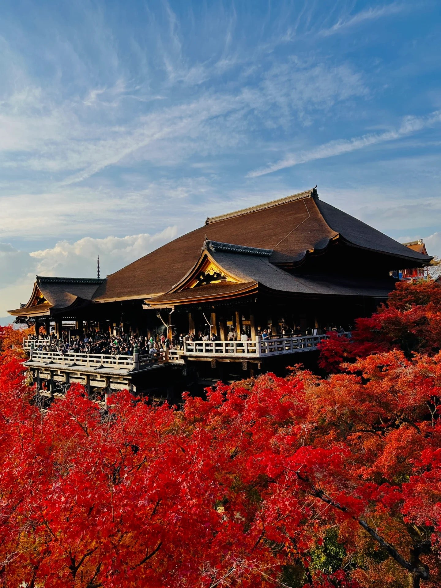 Kyoto day trip from Osaka by private charter | TOUSHIN licensed private charter