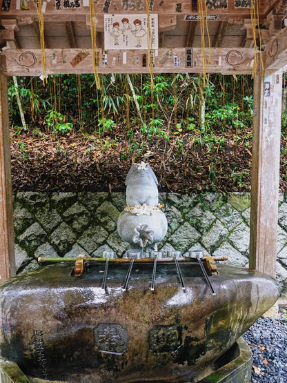 Tottori day trip from Osaka by private charter — TOUSHIN Japan private tour (photo 2)