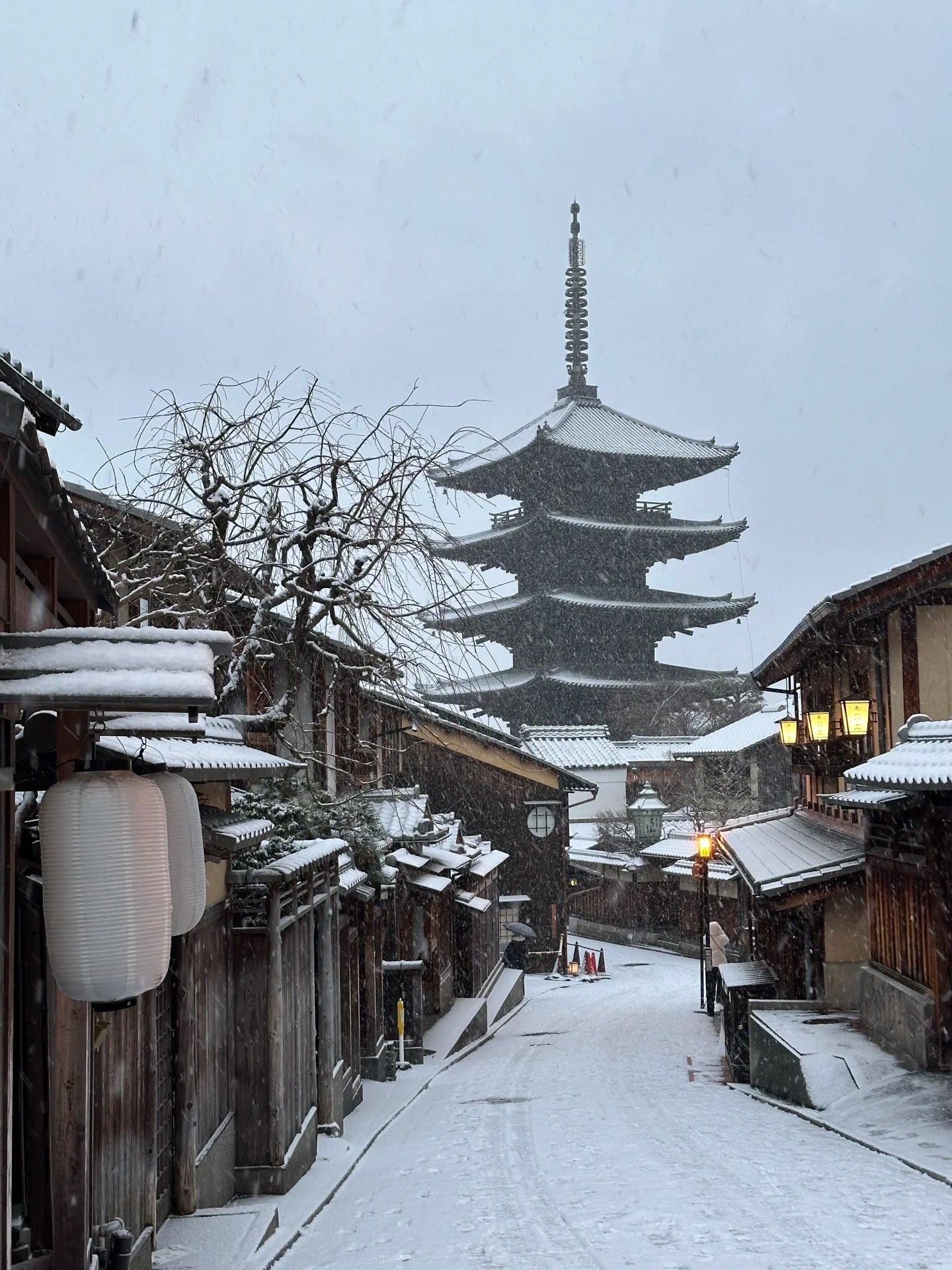 Kyoto day trip from Osaka by private charter — TOUSHIN Japan private tour (photo 4)