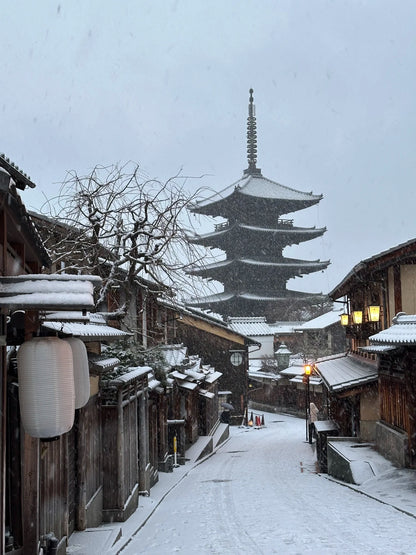 Kyoto day trip from Osaka by private charter — TOUSHIN Japan private tour (photo 4)