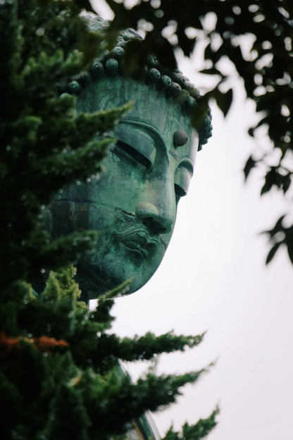 Kamakura and Enoshima day trip from Tokyo by private charter — TOUSHIN Japan private tour (photo 2)