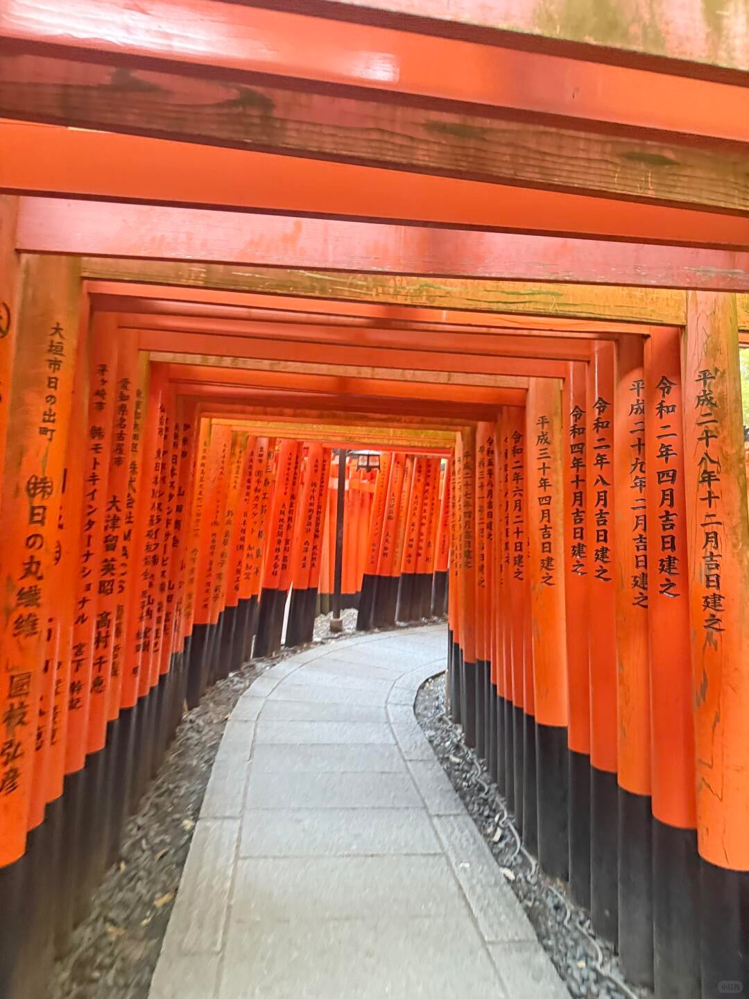 Kyoto day trip from Osaka by private charter — TOUSHIN Japan private tour (photo 3)