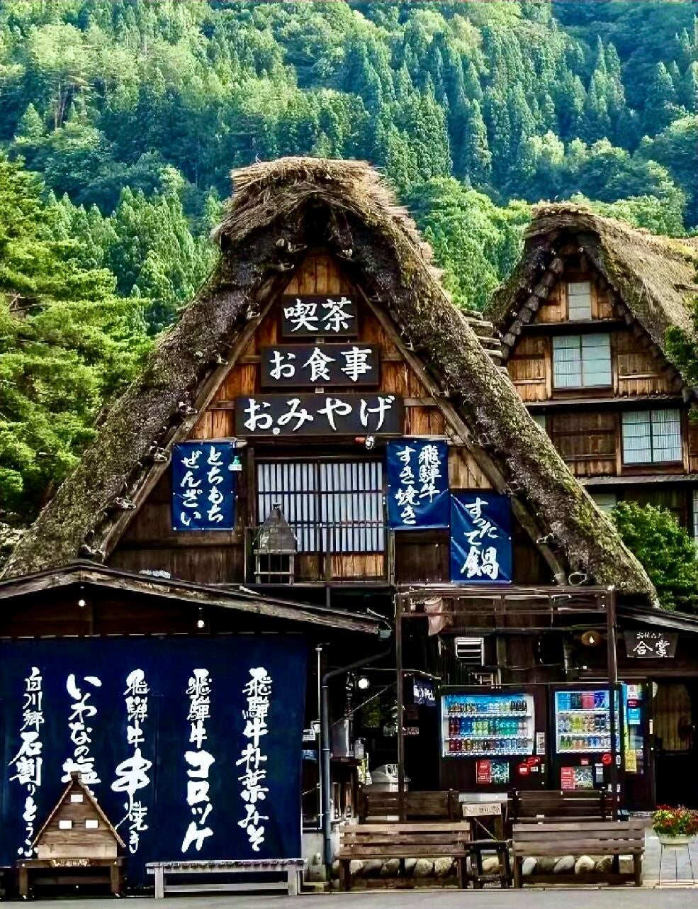 Close view of a thatched-roof house and shops in Shirakawa-go