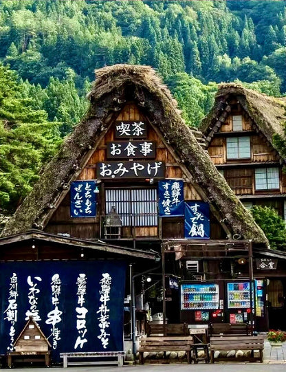 Close view of a thatched-roof house and shops in Shirakawa-go