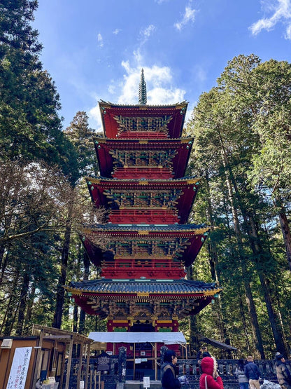 Nikko Private Day Tour from Tokyo — 10-Hour Charter