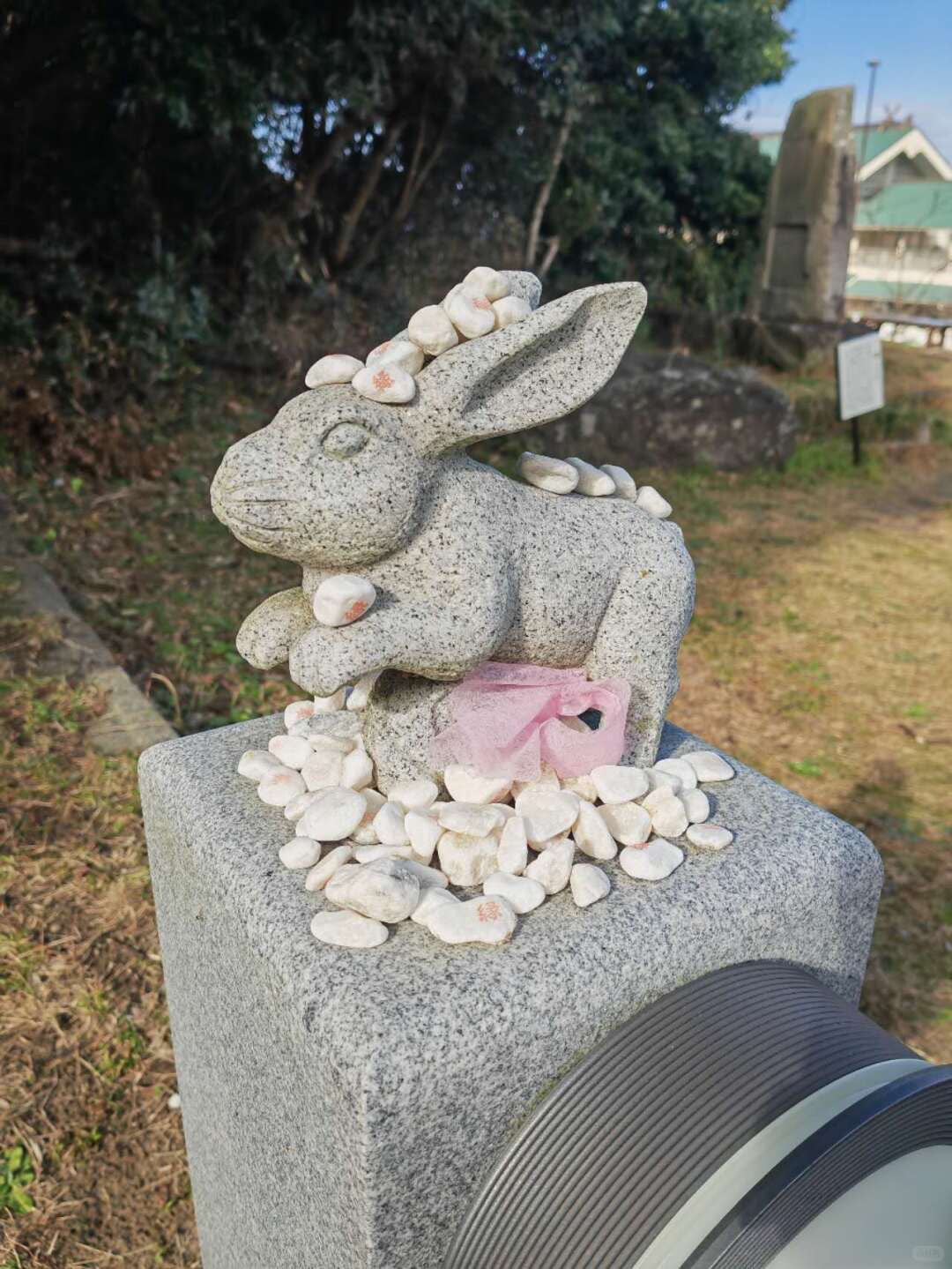 Tottori day trip from Osaka by private charter — TOUSHIN Japan private tour (photo 5)