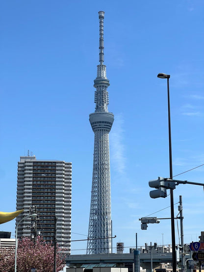 Tokyo 10-hour private charter tour — TOUSHIN Japan private tour (photo 4)