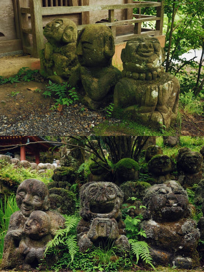 Kyoto day trip from Osaka by private charter — TOUSHIN Japan private tour (photo 2)