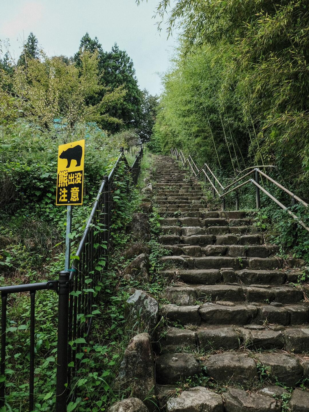 Stone steps and wooded path on the Nakasendo walking trail