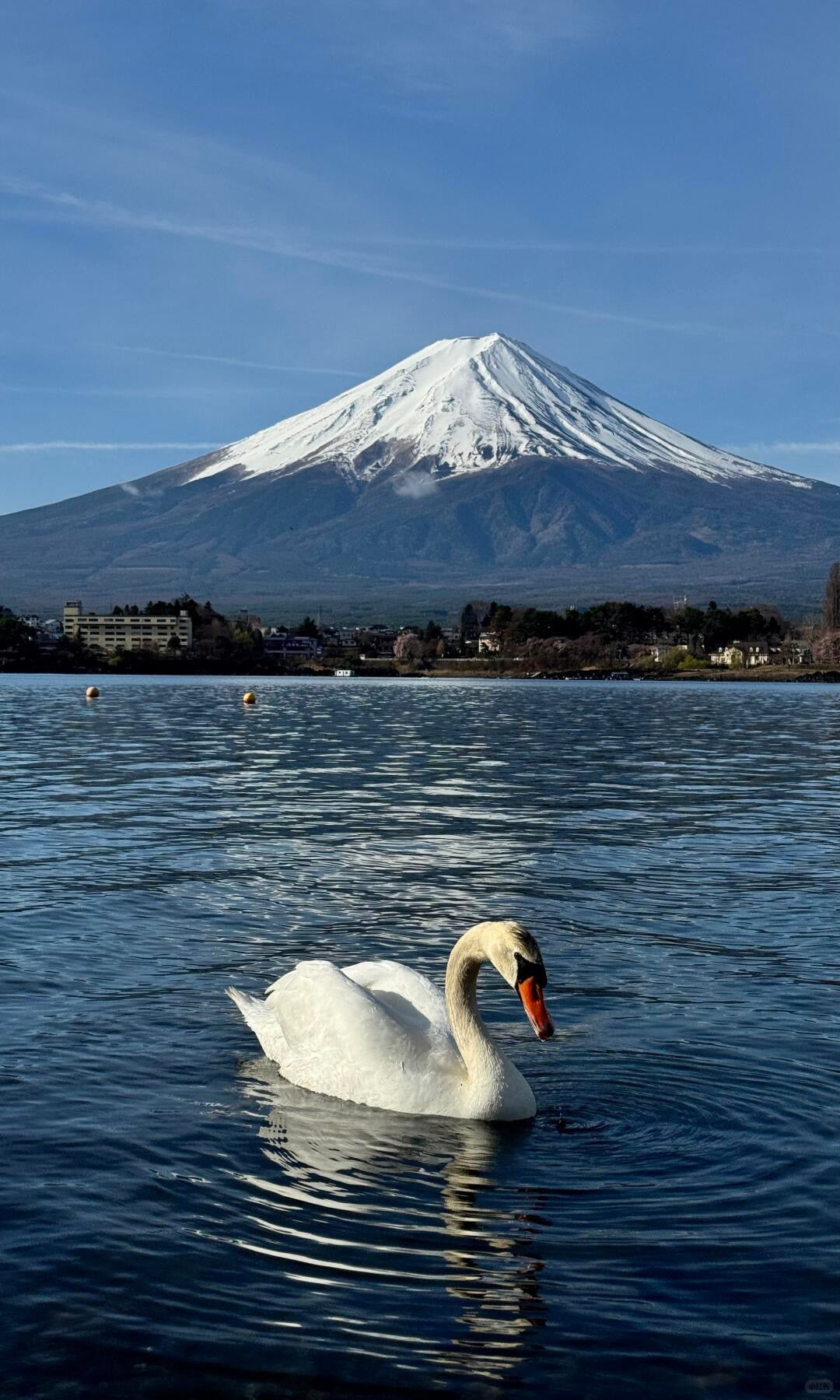 Mount Fuji day trip from Tokyo by private charter — TOUSHIN Japan private tour (photo 3)