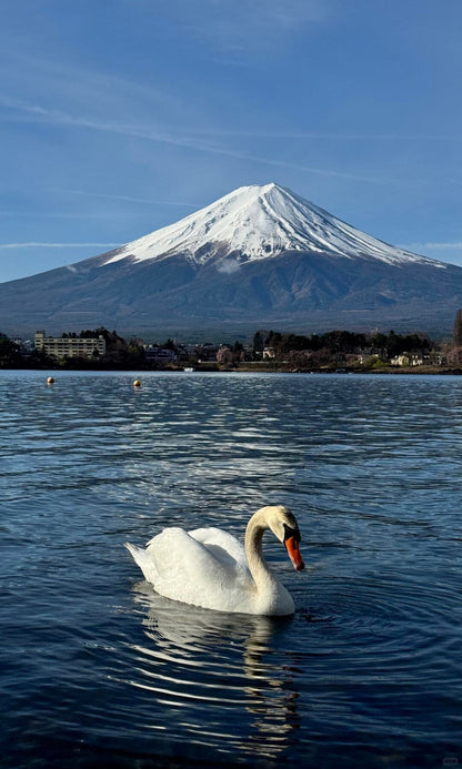 Mount Fuji day trip from Tokyo by private charter — TOUSHIN Japan private tour (photo 3)