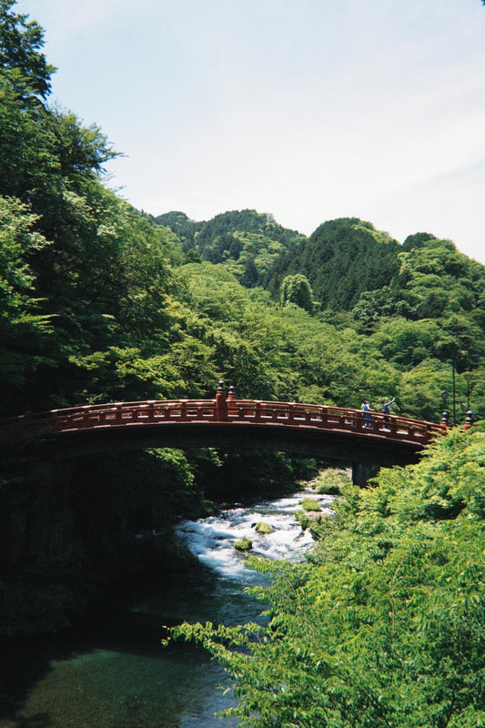 Nikko Private Day Tour from Tokyo — 10-Hour Charter