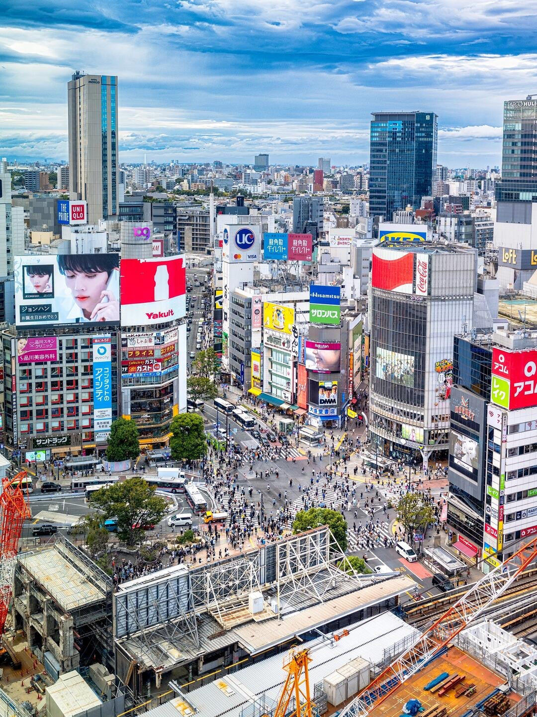 Tokyo 10-hour private charter tour — TOUSHIN Japan private tour (photo 2)