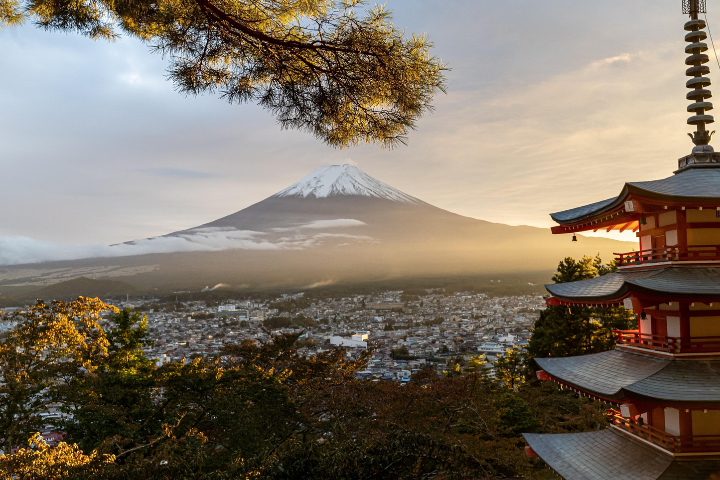 Mount Fuji day trip from Tokyo by private charter — TOUSHIN Japan private tour (photo 2)