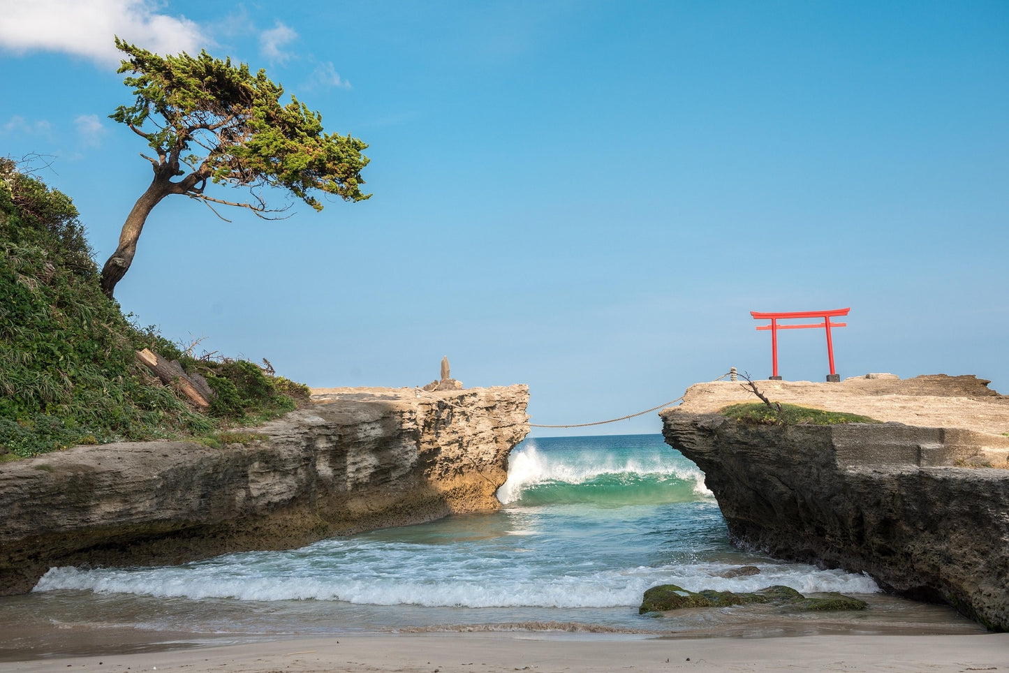 Izu Peninsula day trip from Tokyo by private charter — TOUSHIN Japan private tour (photo 4)